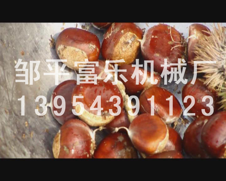 板栗脫殼機(jī)板栗脫蓬機(jī)1