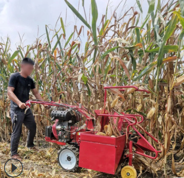 秸稈粉碎還田帶扒皮功能收割機(jī) 柴油15馬力玉米收割機(jī) 割玉米機(jī)器