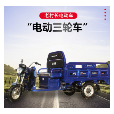 電動(dòng)三輪車載重貨運(yùn)農(nóng)用三輪車供應(yīng)家用接送孩子三輪代步車