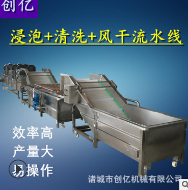 蔬菜浸泡式清洗風(fēng)干線 不銹鋼全自動洗菜機 果蔬氣泡清洗機廠家