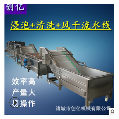 蔬菜浸泡式清洗風(fēng)干線 不銹鋼全自動(dòng)洗菜機(jī) 果蔬氣泡清洗機(jī)廠家