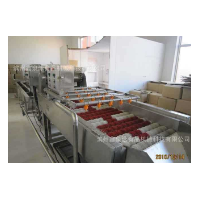 供應(yīng)不銹鋼紅棗清洗機(jī) 紅棗清洗生產(chǎn)線 廠價(jià)直銷紅棗選果機(jī)