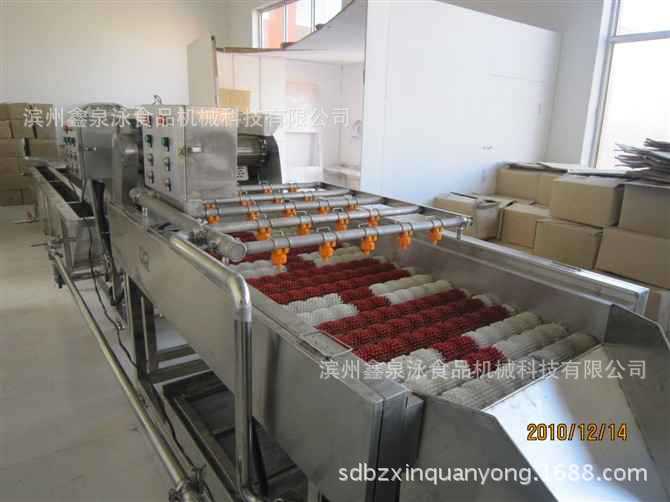 成套大棗清洗機(jī)