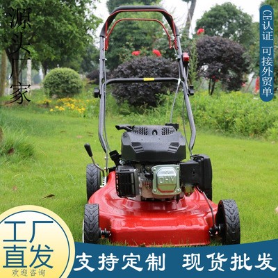 廠家直供四沖程手推草坪機 汽油款帶收草袋輪式割草機 農(nóng)場剪草機