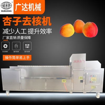 廠家直銷 不銹鋼杏子去核機 黃杏去核分瓣機 水果去核機械設備