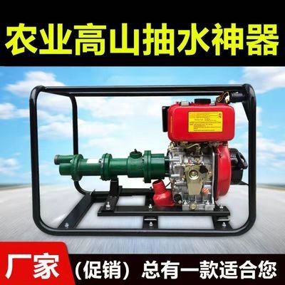 高揚(yáng)程水泵200米300米高壓抽水機(jī)農(nóng)用高山水泵2寸螺桿泵 汽油柴油