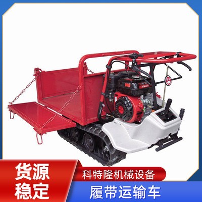 全地形農(nóng)用四不像小型手扶履帶爬坡運(yùn)輸車(chē) 爬山虎履帶搬運(yùn)車(chē)