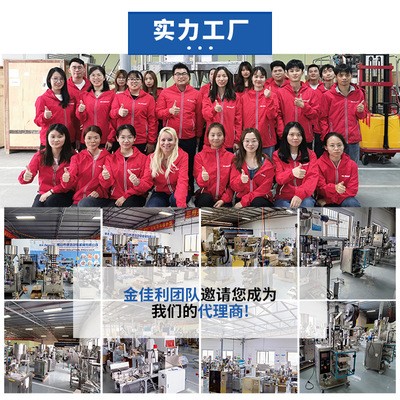 二頭秤顆粒包裝機(jī) 大容積快速包裝機(jī)械設(shè)備 二頭電子稱