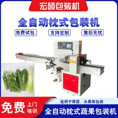 宏碩直銷枕式蔬菜包裝機(jī) 全自動(dòng)水果果蔬包裝機(jī) 三伺服裝袋機(jī)設(shè)備
