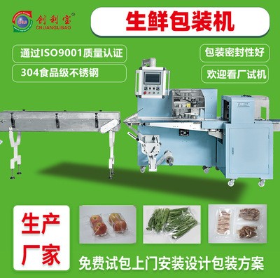 大型生鮮食品枕式包裝機(jī)水果蔬菜肉類(lèi)自動(dòng)食品包裝機(jī)械設(shè)備廠家