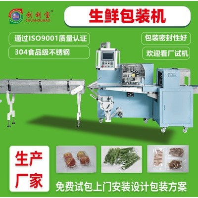 大型生鮮食品枕式包裝機(jī)水果蔬菜肉類自動(dòng)食品包裝機(jī)械設(shè)備廠家
