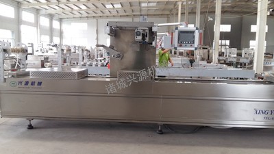 DZR-520全自動連續(xù)熱成型真空包裝機 烤腸真空包裝機
