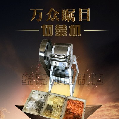 食堂專用切菜機 果蔬加工設(shè)備 多功能切菜機 小型切菜機