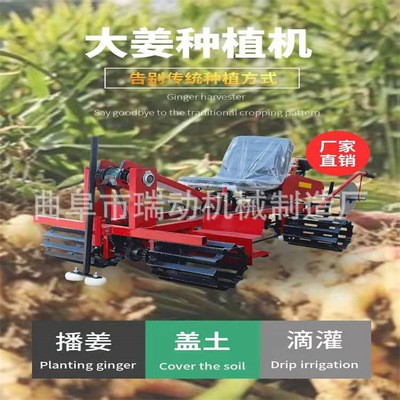 大姜種植機(jī) 多功能生姜播種 蓋土 滴灌一體機(jī)效率高不傷姜牙