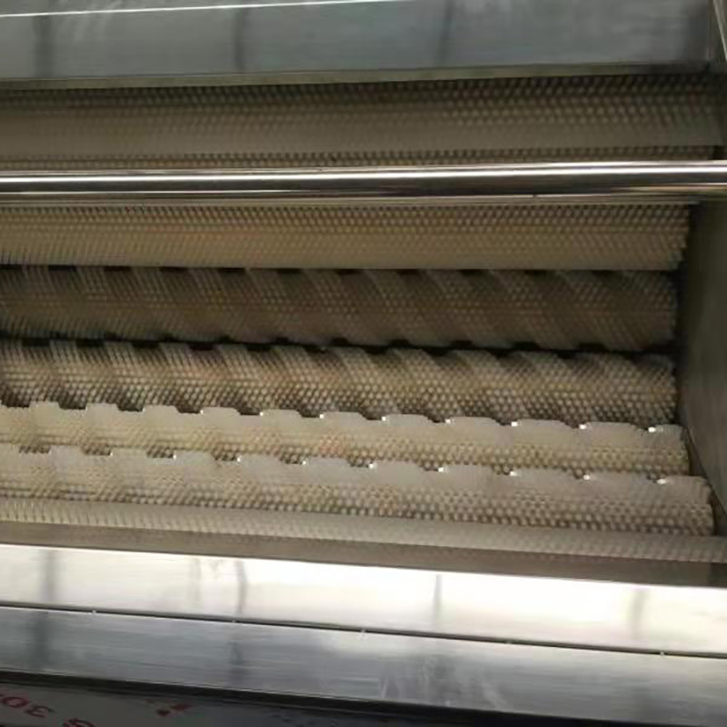 毛輥清洗去皮機(jī)