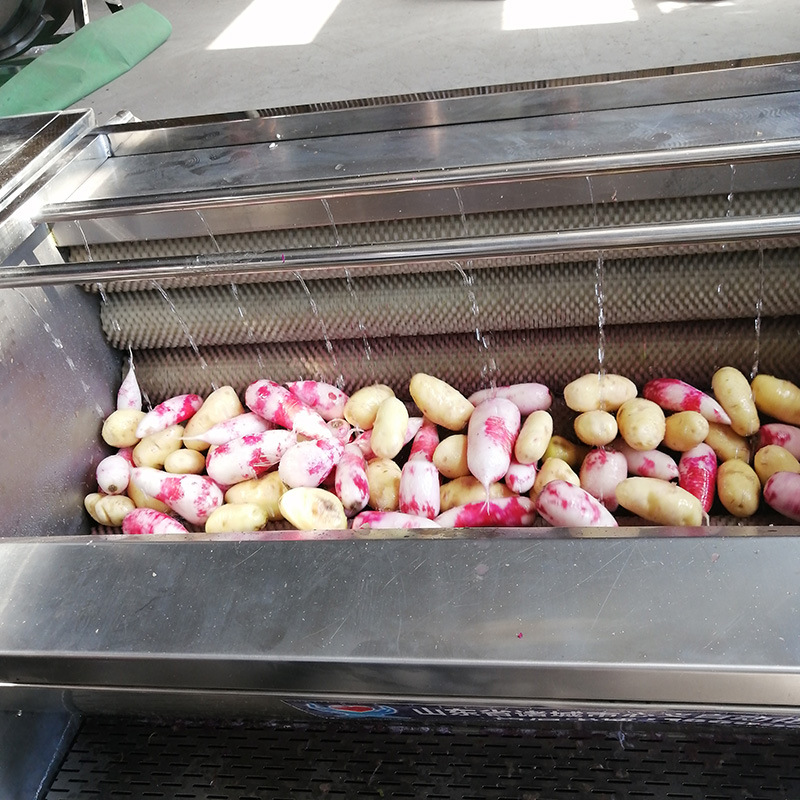 毛輥清洗去皮機(jī)