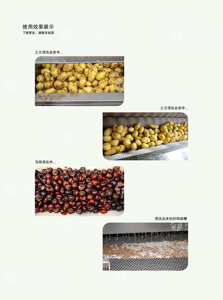 TS-M600清洗去皮機(jī)(750px)_03.jpg