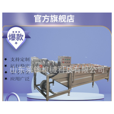 氣泡沖浪噴淋洗果機 龍須菜車前草清洗機器 中草藥薄荷氣泡清洗機