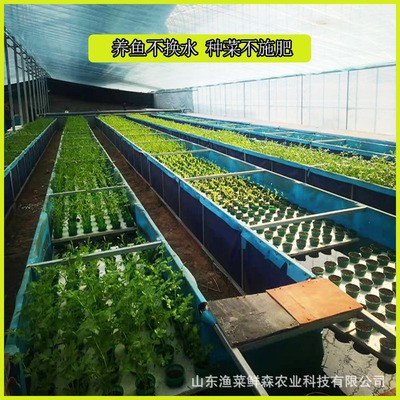 魚菜共生系統(tǒng)設備研發(fā) 魚菜共生設計與安裝