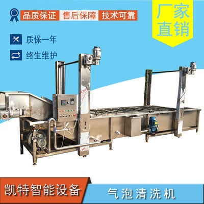 大蒜去泥清洗機(jī)酸白菜清洗去鹽機(jī)果蔬清洗機(jī)支持定制