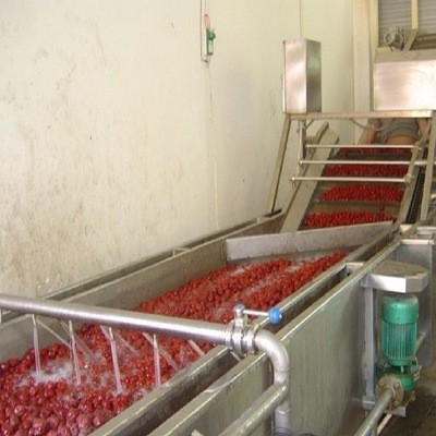 香菇菌類清洗機 凈菜蔬菜清洗加工生產(chǎn)線廠家 雜糧清洗設備生產(chǎn)線