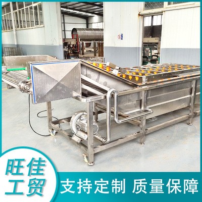 廠家供應(yīng) 韭菜氣泡清洗機 白菜去泡清洗流水線 不銹鋼清洗設(shè)備