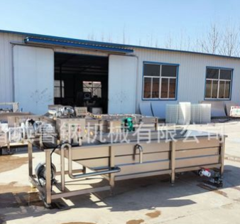 商用果蔬清洗機 氣泡高壓噴淋清洗機 百合清洗設(shè)備