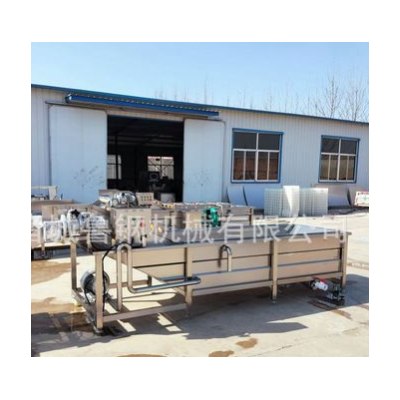 商用果蔬清洗機 氣泡高壓噴淋清洗機 百合清洗設(shè)備