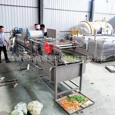 現(xiàn)貨熱銷洗菜機(jī) 商用渦流清洗機(jī) 蔬菜水果清洗機(jī) 支持定制 氣泡