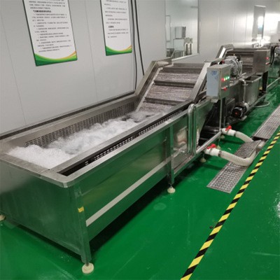 中央廚房清洗線 全自動果蔬清洗機 氣泡清洗機 果蔬清洗一體機