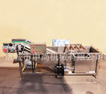 油菜菠菜清洗機 商用車厘子果蔬氣泡清洗設(shè)備 小米辣椒氣泡清洗機