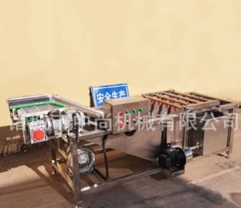 中藥材氣泡清洗機 商用全自動連續(xù)式果蔬清洗設(shè)備 大型氣泡清洗機