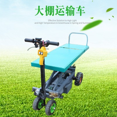 壽光定制 大棚運(yùn)輸車電動(dòng)裝卸車 小型園林軌道運(yùn)輸電力車升降廠家