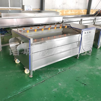 高壓噴淋蔬菜毛輥清洗機(jī)廠家 菠菜全自動(dòng)清洗機(jī) 中央廚房洗菜機(jī)