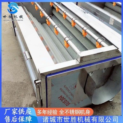 供應(yīng)黨參毛輥清洗機(jī) 不銹鋼毛刷清洗機(jī) 蓮藕去皮清洗機(jī)設(shè)備