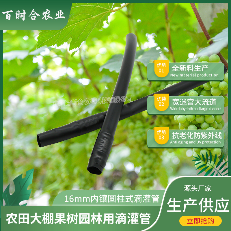 內(nèi)鑲圓柱式滴灌管哪家好山東百時(shí)合農(nóng)業(yè)科技有限公司