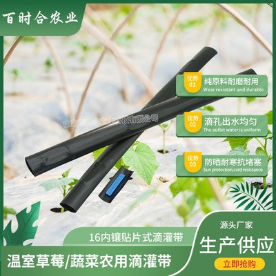 貼片式滴灌帶 廠家供應(yīng)大棚農(nóng)田蔬菜果樹用灌溉內(nèi)鑲貼片式滴水帶