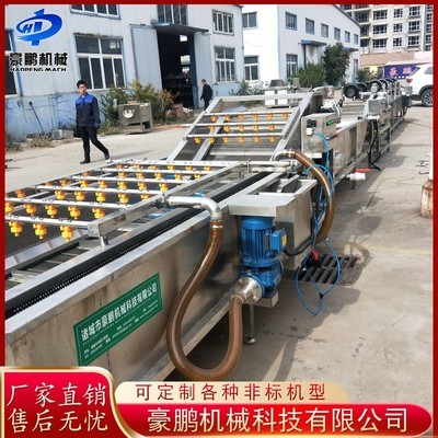 多功能果蔬氣泡清洗機(jī) 全自動(dòng)蔬菜辣椒清洗機(jī) 凈菜加工設(shè)備