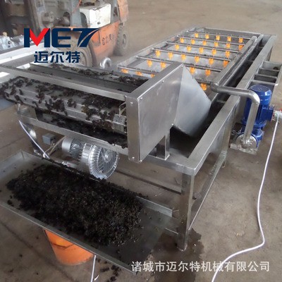 供應(yīng)葉類(lèi)蔬菜清洗機(jī) 根莖類(lèi)蔬菜氣泡清洗機(jī) 圣女果清洗機(jī)支持定做