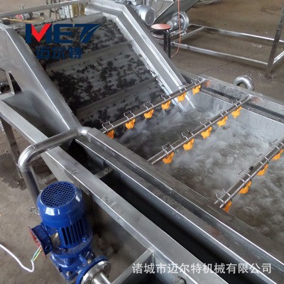香菇氣泡清洗機(jī) 新鮮木耳清洗加工生產(chǎn)線(xiàn) 商用茶葉清洗加工機(jī)器