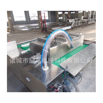 廠家直銷批發(fā)真空包裝機(jī) 食品雙室真空包裝機(jī) 大米真空包裝封口機(jī)