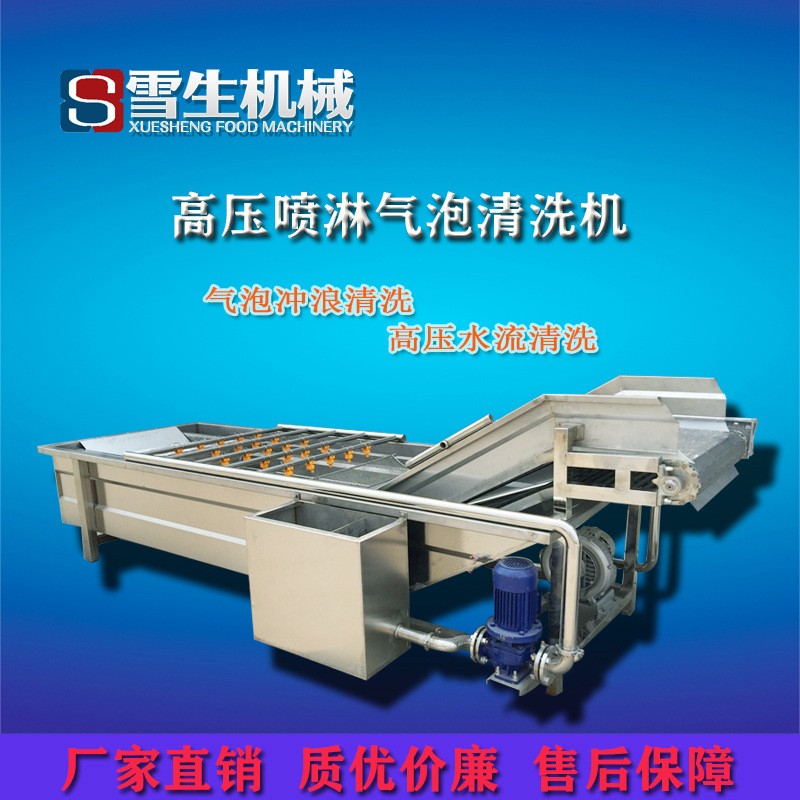 蘑菇香菇大型氣泡清洗機(jī) 定制型號(hào)不銹鋼連續(xù)果蔬氣泡清洗機(jī) 熱銷