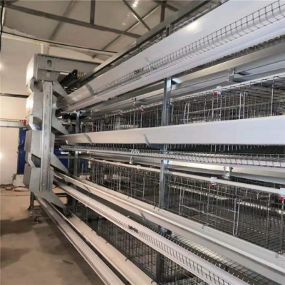 華順雞籠新品小層疊蛋雞籠 可多養(yǎng)雞 歡迎大家咨詢(xún)