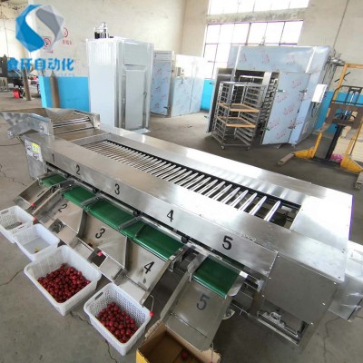 番茄滾杠分級機 滾杠式芋頭選果機 土豆重量分選機價格 廠家供應(yīng)