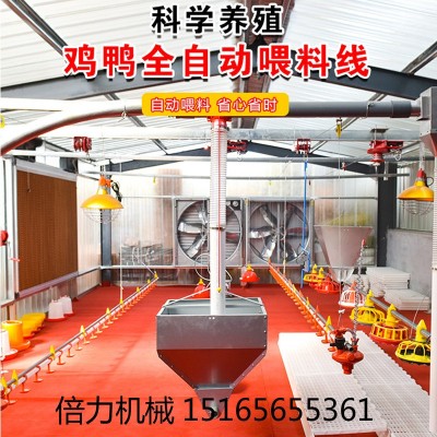 畜牧養(yǎng)殖設備雞自動料線水線喂食器飲水器自動上料機山東料線廠家