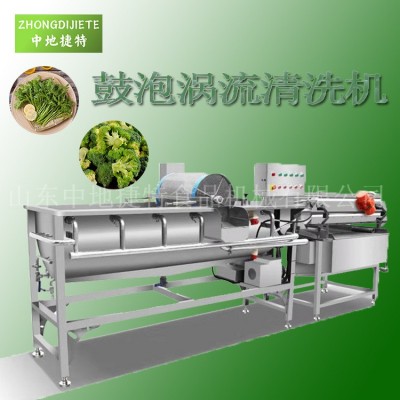 商用大型廚房蕨菜清洗機(jī) 凈菜處理設(shè)備 鮮辣椒水果蔬菜渦流清洗機(jī)