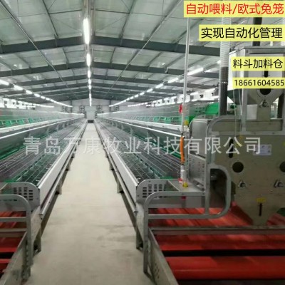 養(yǎng)兔子種兔設備 籠具歐式自動喂料繁育兔籠