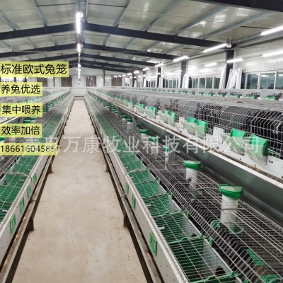 養(yǎng)兔子的設備兔籠 兔舍歐式雙層籠具繁育一體籠