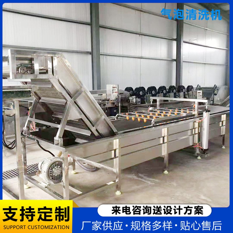 精潤(rùn)制造海帶清洗機(jī) 鼓泡式噴淋式海蜇清洗機(jī)海產(chǎn)品清洗流水線