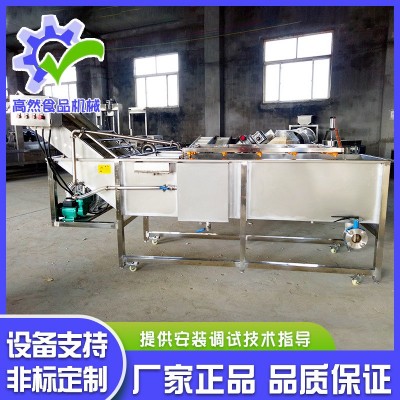 全自動噴淋式瓜果氣泡清洗機(jī) 辣椒清氣泡清洗機(jī) 不銹鋼果蔬清洗機(jī)